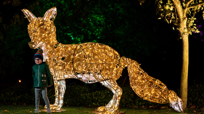 Wonderlights announces return dates with tickets set to sell out