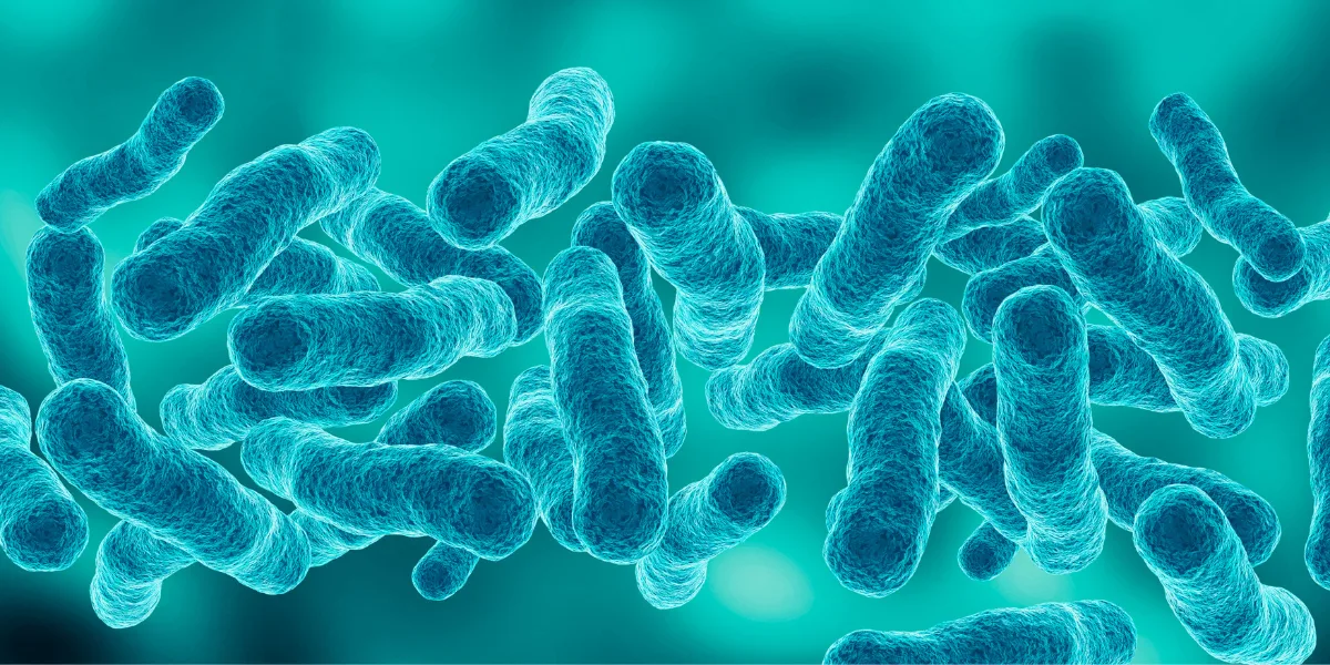 World Sepsis Day: HSE highlights the signs and symptoms amid rising cases