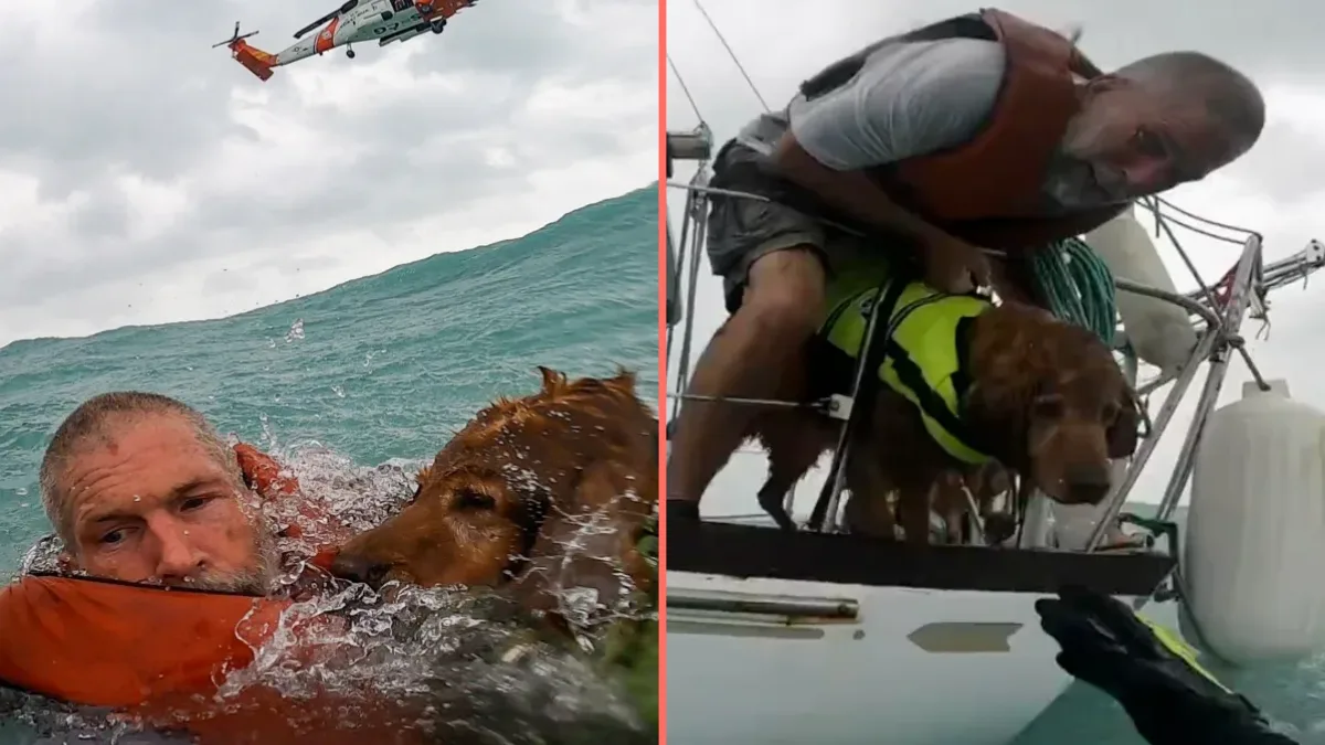 Sailor caught in hurricane shares heartbreaking message he told his dog as they sank