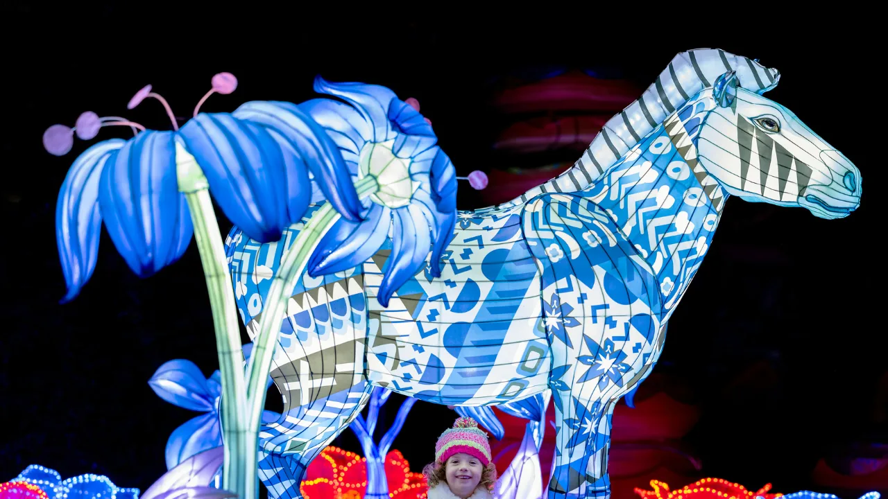 Dublin Zoo announces adult-only Wild Lights experience this Halloween