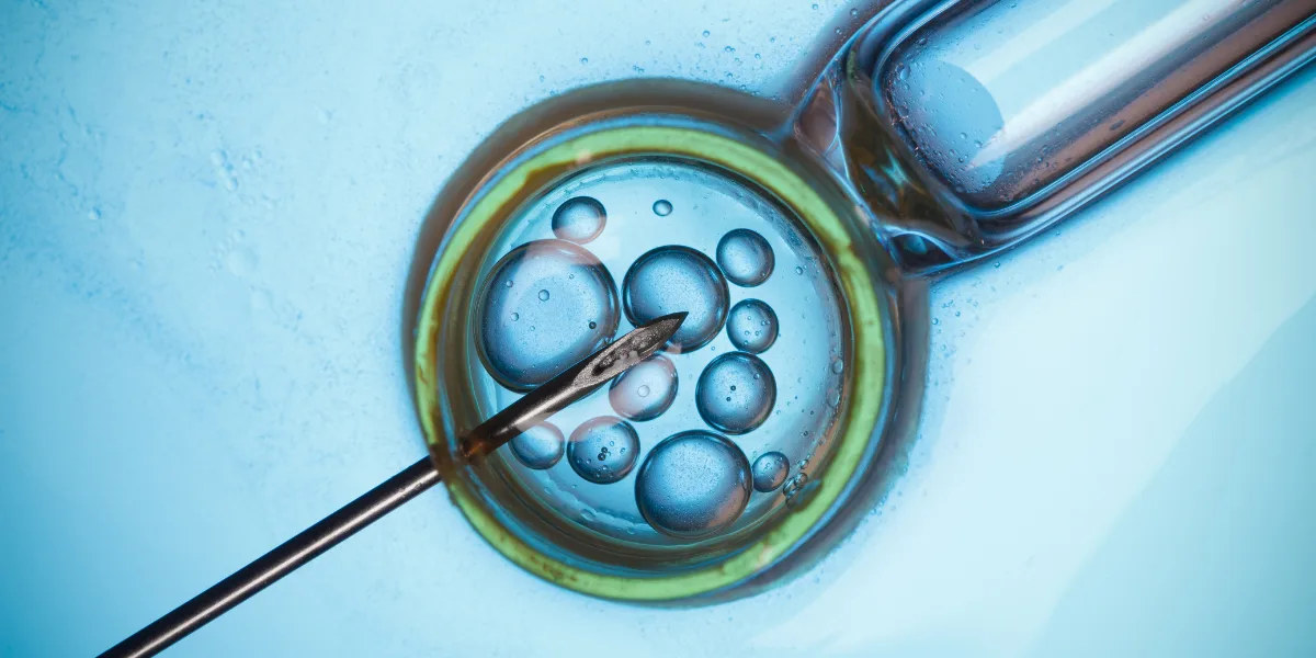Public funding for IVF treatment ‘will be expanded in budget 2025’