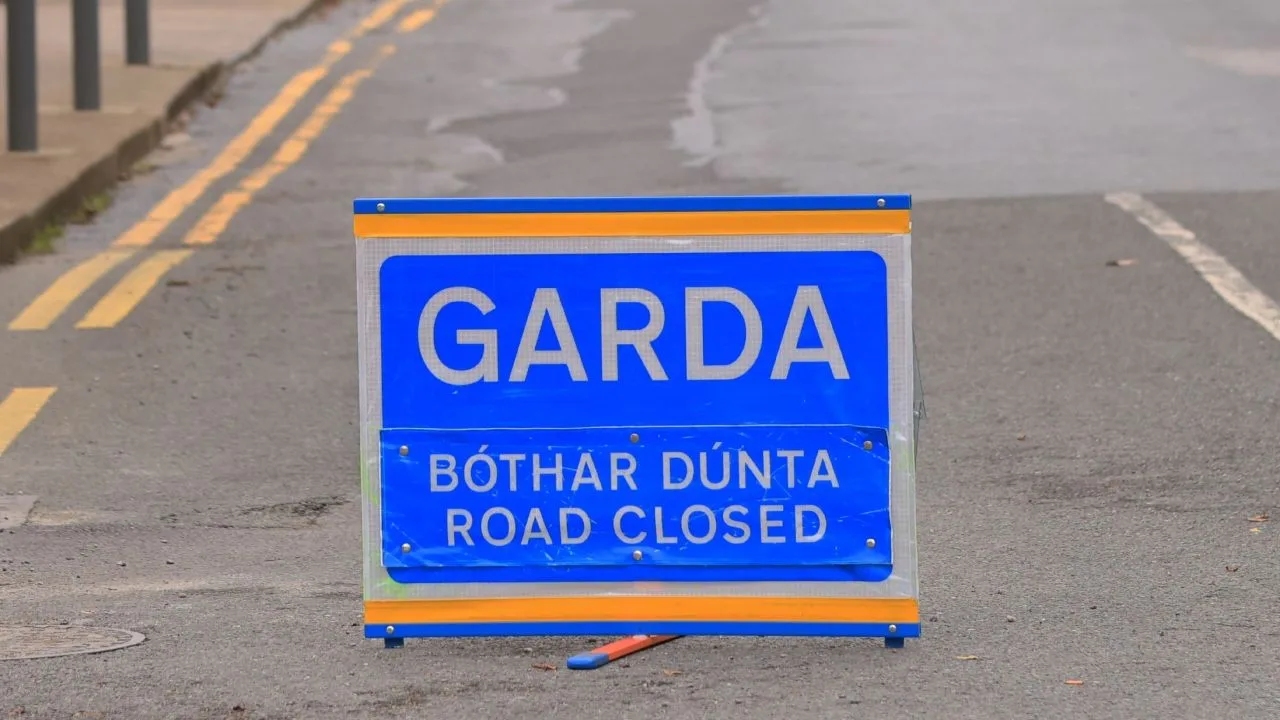 Girl, 6, dies after being hit by truck in Galway