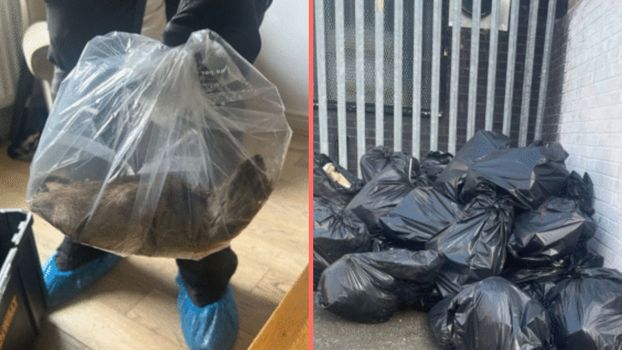 Monster 22-inch rat 'bigger than a cat' discovered in UK home