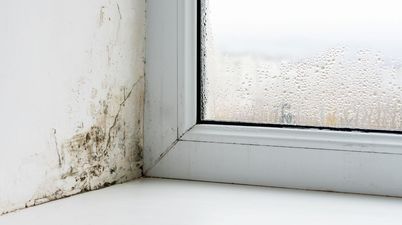 ‘Amazing’ mini dehumidifier keeps damp away during winter – and it’s just €1