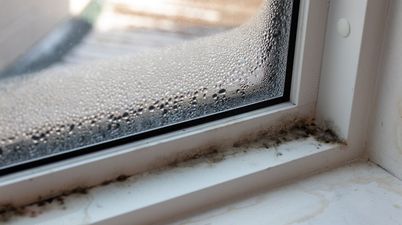 Best-selling gadget that removes mould from your home 'more than pays for itself'