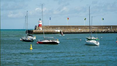 Grandmother drowns in an effort to rescue her dog 