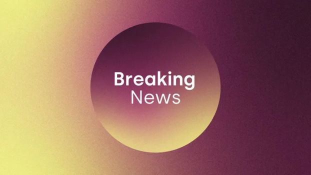 Multiple people feared dead after horrific collision as Gardai close road