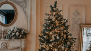 Experts have figured out the best date to put up your Christmas tree