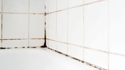 'Easy to use' gadget clears stubborn mould from bathrooms - and it's just €11